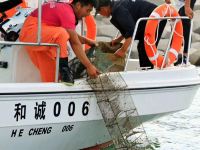 东戴河白金海夏日花开海景公寓 - 私人海滩