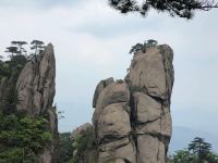 青阳福前山庄 - 其他