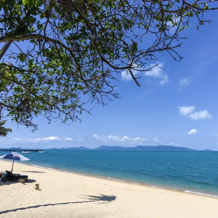 Saree Samui