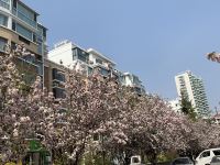 青岛五色海花园美宿