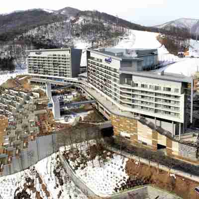 하이원 리조트 콘도 Hotel Exterior