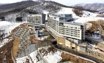 5. 하이원 리조트 ..