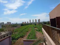 トルファン市葡萄風情小町老馬叔中国式旅館 - ペット同伴可