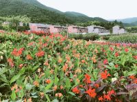 杭州幸福家民宿 - 酒店景观