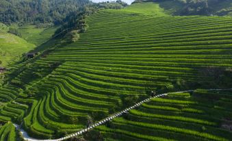 Floral·Longsheng Longji Yunshu Hotel