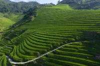 Floral Hotel ·Longsheng Longji Yunshu Hotel