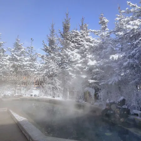 Wanda Ruijing Hannashan Hot Spring Hotel