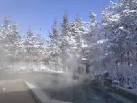 Wanda Ruijing Hannashan Hot Spring Hotel - Hot Springs