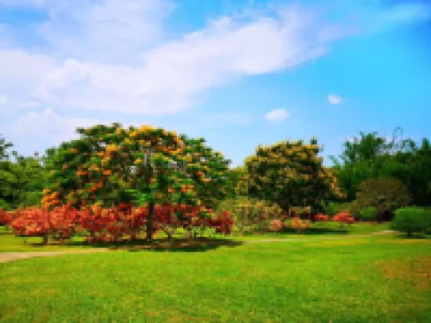 Yunmeiting Hotel Hotels in Mengla