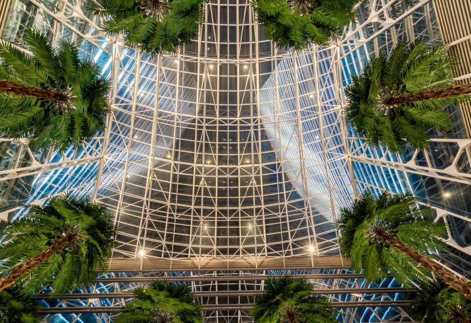 카이 와 플라자 호텔의 조명