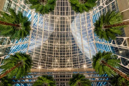 Kai Wah Plaza Hotel Отели рядом с достопримечательностью «Junfa Xiliangtang Wetland Park»