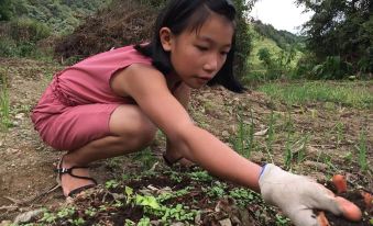 Yuanyang Green Hostel & Sunny Guesthouse