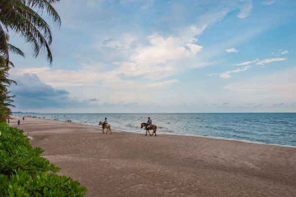 리젠트 - 샬레 후아힌(Regent - Chalet, Hua Hin)_2