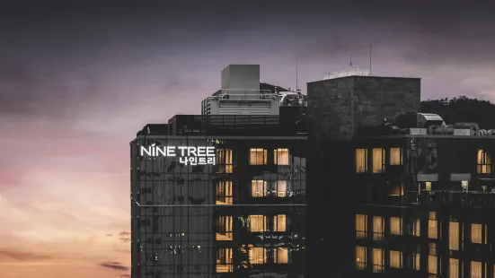 Nine Tree Premier Hotel Insadong (Myeongdong)