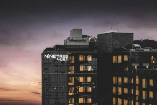 NINE TREE BY PARNAS SEOUL INSADONG Отели рядом с достопримечательностью «Генбокгун»