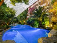 香格里拉天界神川大酒店 - 室内游泳池