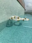 Crowne Plaza SYDNEY BURWOOD by IHG - Rooftop Pools