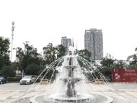 重庆红楼银杏大酒店 - 公共区域