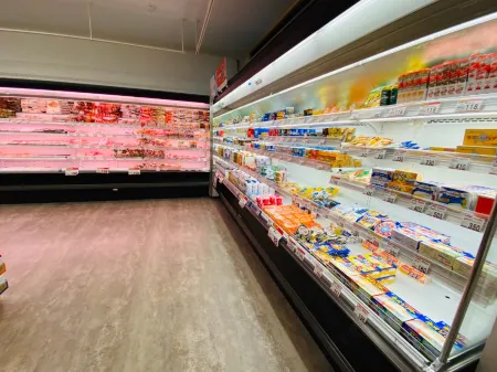 Japanese house for touring