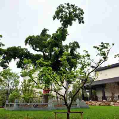 六安南湖白鷺園酒店 Hotel Exterior