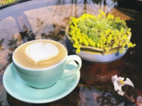 Wangfenglin Fengxi Banshan Inn