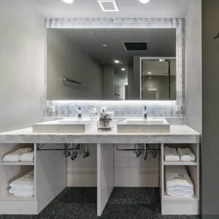 Daiwa Roynet Hotel Nishi-Shinjuku PREMIER