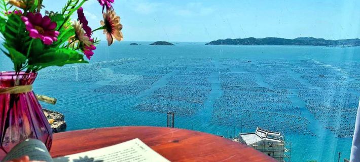 Shengsi wolfberry Shengshan Island Youth Hostel 성쓰 호텔