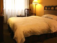 天津泰达国际酒店 - 标准大床房