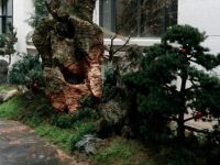 江西省审计干部温汤培训基地 - 花园