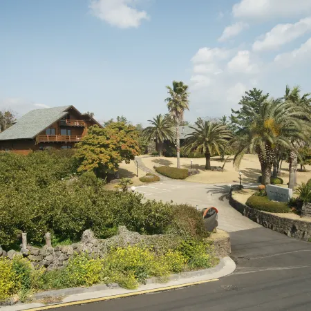 Sunny Day Jeju Отели рядом с достопримечательностью «Музей медведей Джоан»