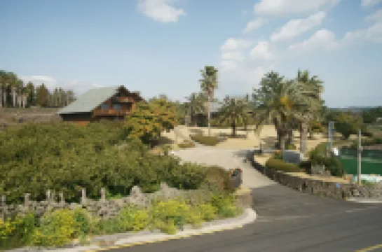 Sunny Day Jeju Hotels near Joanne teddy bear