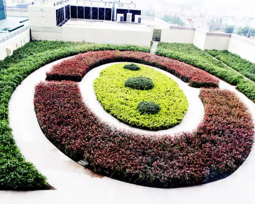 Qiankun International Hotel الأماكن العامة Photos