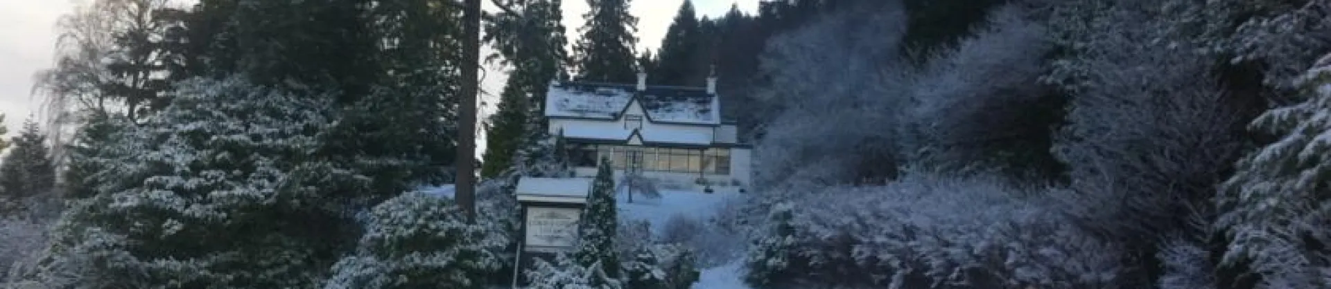 Gehobene Hotels 