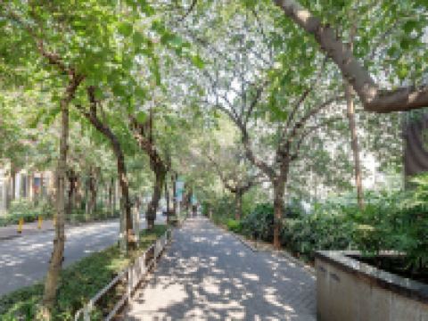 城市客栈(深圳创意园店) - 酒店附近