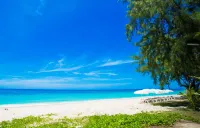 Grand Mercure Phuket Patong - 5つ星