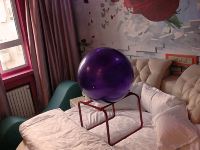 和田索菲亚主题宾馆 - 小浪漫圆床房