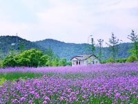 宁波富邦荪湖山庄 - 酒店附近