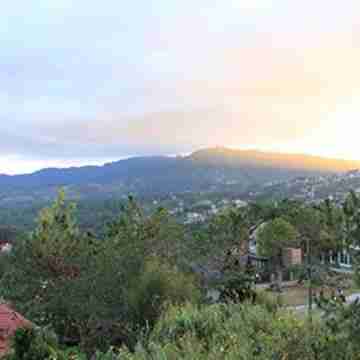 Dad's Big Transient House Others