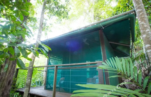 加納海灘森科圖瑞垂特山林小屋