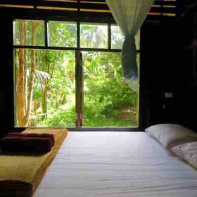 Khao Sok Silver Cliff Resort Rooms