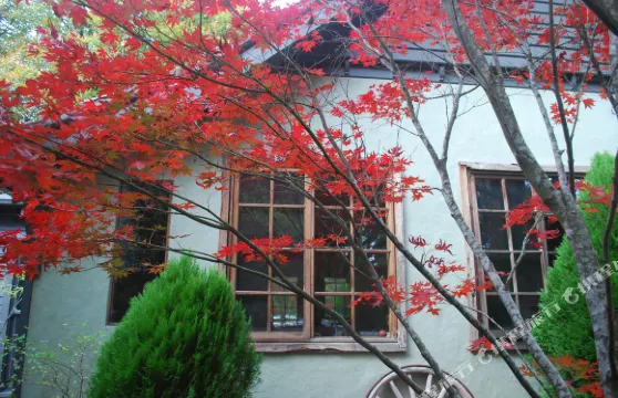 洛基克里克藝術花園民宿