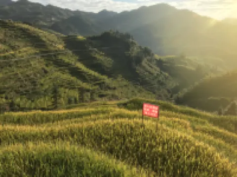 新化紫鵲灣農家樂