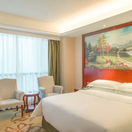 Vienna Hotel (Ji'an Railway Station)