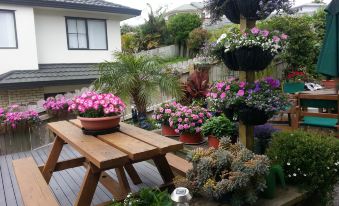 Lush & Co Auckland Bed & Breakfast