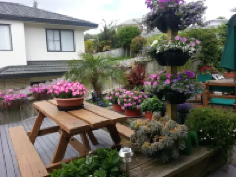 Lush & Co Auckland Bed & Breakfast
