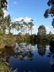 Lush & Co Auckland Bed & Breakfast Các khách sạn gần Muriwai Beach