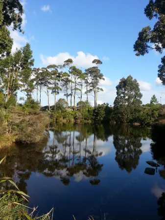 Lush & Co Auckland Bed & Breakfast Отели рядом с достопримечательностью «Elements Surf»