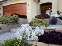 ซอเรนโตบีชเบดแอนด์เบรคฟาส