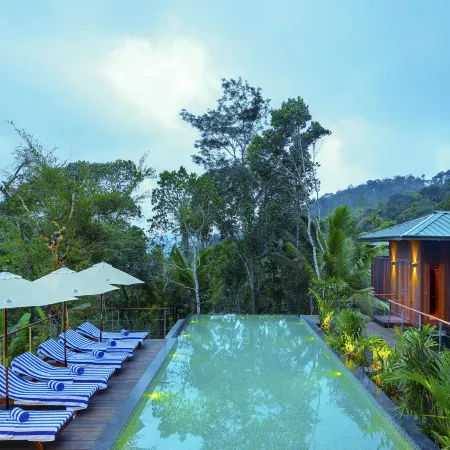 Niraamaya Retreats Cardamom Club