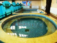 赤城元泉宾馆 - 室内游泳池